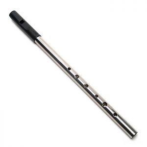 Whistle - The trad, Nickel D