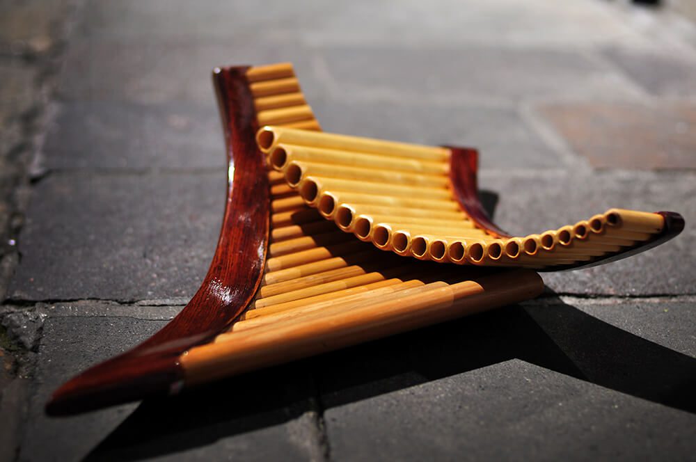 wind musical instrument