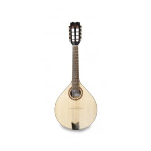 Alternative view of APC Mandolin MDL308E