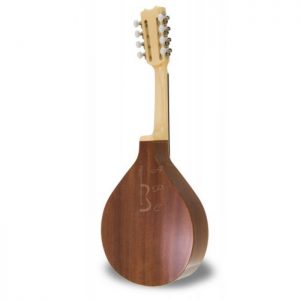 Alternative view of APC Mandolin MDL305