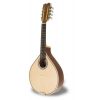 antonio carvalho mandolin mdl305