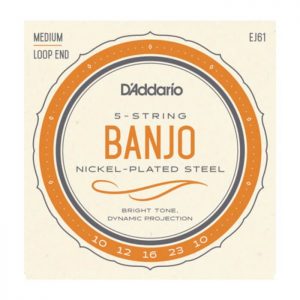 D'Addario EJ61 - 5 String Banjo