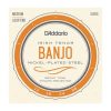 D'Addario EJ63i - Irish Tenor Banjo