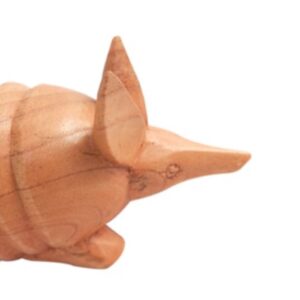 Alternative view of Armadillo guiro