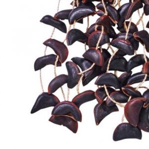 Alternative view of Cabalonga Nut Shaker