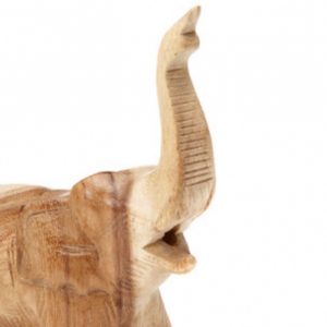 Alternative view of Elephant whistle