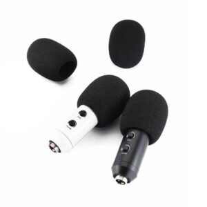 Alternative view of Mic windshield