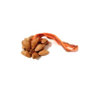 Kenari Seed Rattles
