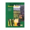 Traditional Irish Guitar by Paul de Grae