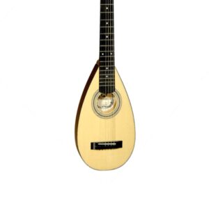 Alternative view of Acoustic Travel Guitar