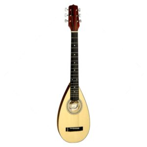 Acoustic Travel Guitar