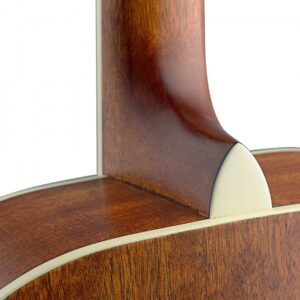 Alternative view of James Neligan ASY-ACE