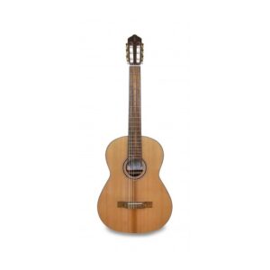 Alternative view of APC Classical Guitar 8C
