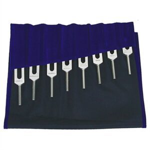 Alternative view of Tuning Fork 14 Meridians Set