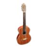 Antonio Carvalho 3C Classical Guitar 4/4, Solid Cedar top