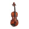 Gewa Allegro Violin Set - 4/4