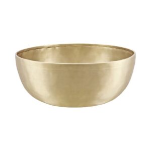 Meinl SB-E-2200 Energy series Singing Bowl