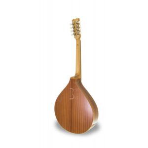 Alternative view of APC Octave Mandolin MOC305