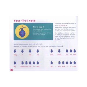 Alternative view of Ocarina from the Beginning