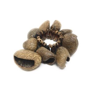 Seed Bracelet Shaker - Pangi Fruit