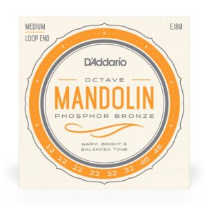 D'Addario EJ80 Octave Mandolin Strings, Phosphor Bronze, Medium