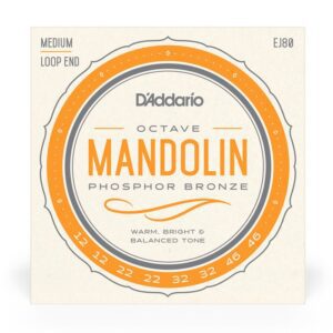D'Addario EJ80 Octave Mandolin Strings, Phosphor Bronze, Medium