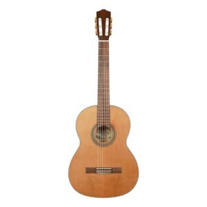 Alternative view of Salvador Classic Guitar - Spruce top