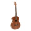 Stagg Acoustic Sapele Top Guitar 4/4