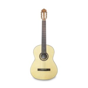 Alternative view of APC Flamenco Guitar