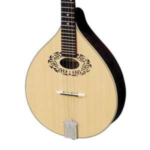 Alternative view of Irish Octave Mandolin