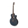 APC Semi-Acoustic Guitar EA100