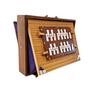Shanti Shruti Box 2 Octave