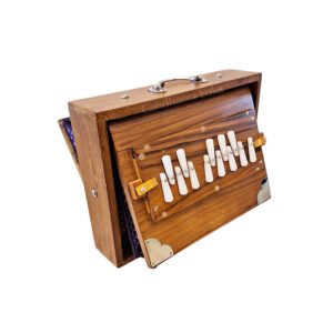 Shanti Travel Shruti Box