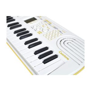 Alternative view of Casio SA80 Keyboard