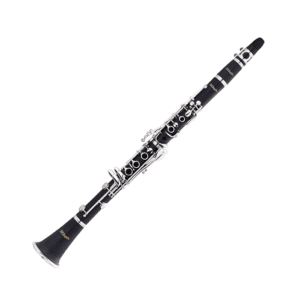 Stagg Bb Clarinet