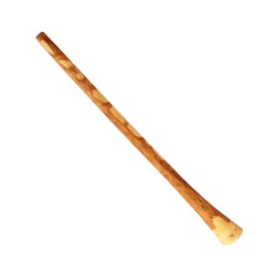 Eucalyptus Didgeridoo