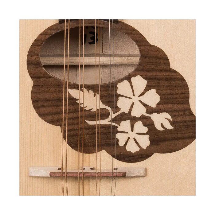 Irish Mandola - Image 2