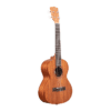 Kala Tenor Ukulele
