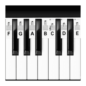 Keyboard Learning Strips 61 Keys