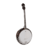 Richwood Tenor Banjo