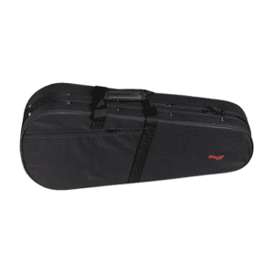Alternative view of Stagg Mandolin Case