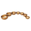 Therapy Chakra Singing Bowl Set