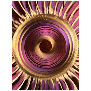 Alternative view of Grotta Sonora Gong Plate 5