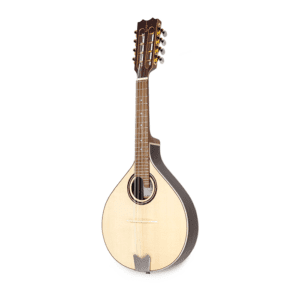 APC Mandolin MDL312 with Hardcase