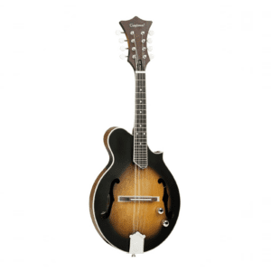 Tanglewood TWMFVSE Mandolin