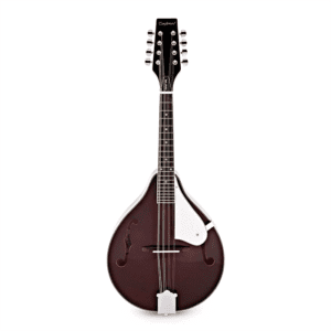 Tanglewood TWMTWR Mandolin