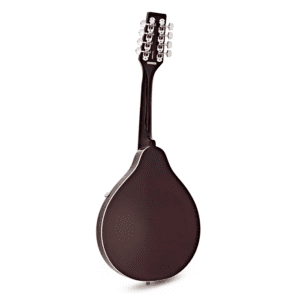 Alternative view of Tanglewood TWMTWR Mandolin