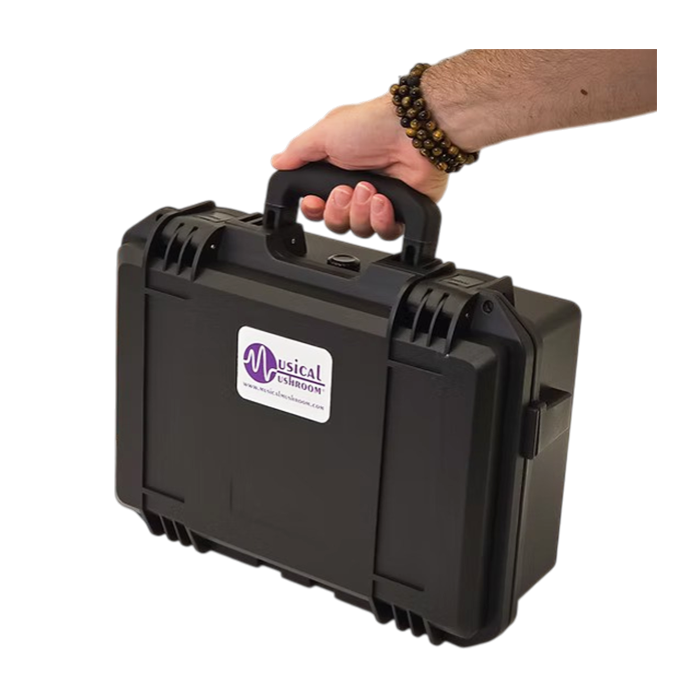 Musical Mushroom Triple Set - Image 4