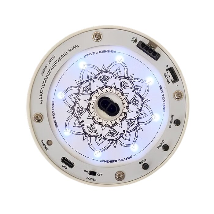 Musical Mushroom Starter Kit