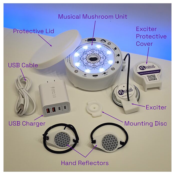 Musical Mushroom Triple Set - Image 6